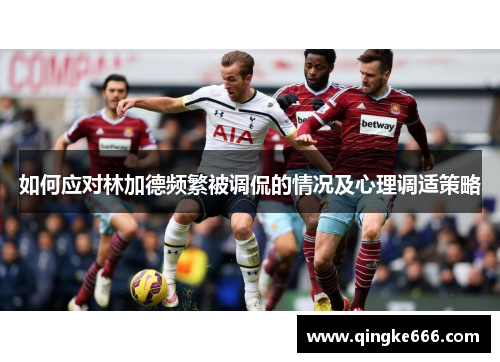 如何应对林加德频繁被调侃的情况及心理调适策略